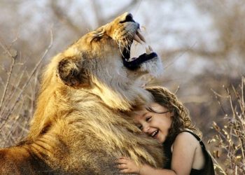A small girl with a lion hugging