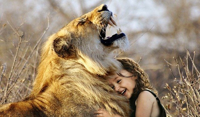 A small girl with a lion hugging