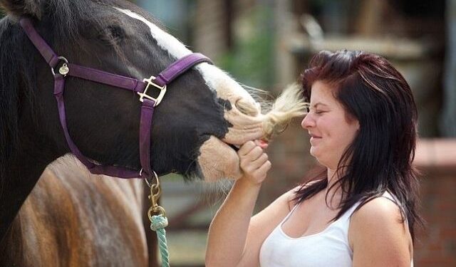 Horses_Moustache