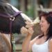 Horses_Moustache