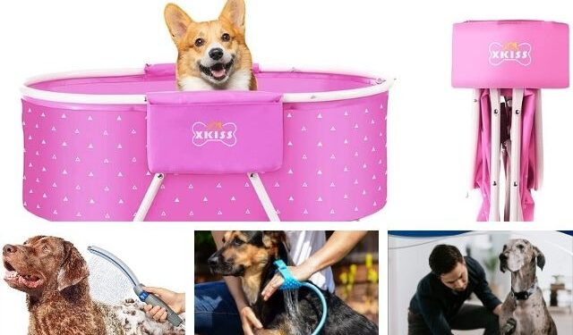 Dog Showers