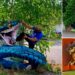 3D Wall Art By French Artist Scaf