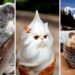 Can You Imagine How It Looks Like If All the Things Get a Face Like Cats?