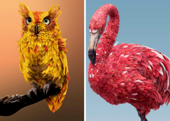 Photoshop work animals