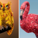 Photoshop work animals