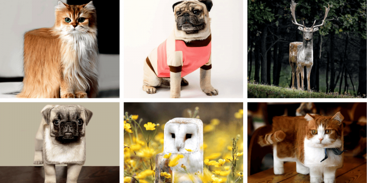 Cube Animals