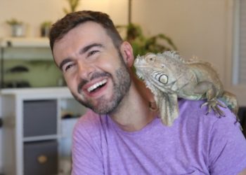 Iguana care