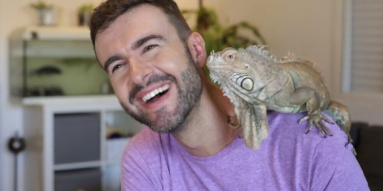 Iguana care
