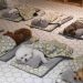 Puppy Spring