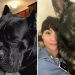 Giant Dogs