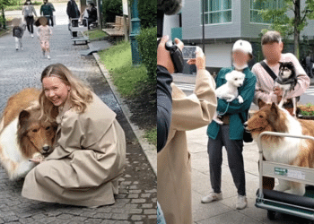 The Japanese Boy Struggling to Become a Dog