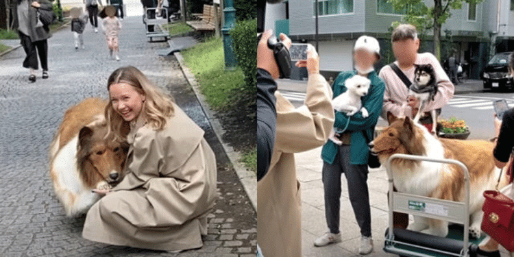 The Japanese Boy Struggling to Become a Dog