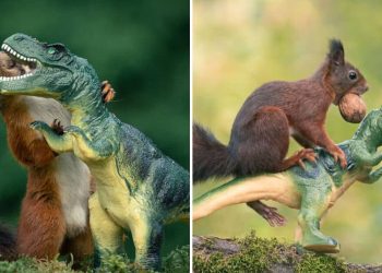 Squirrels & toy dinosaur