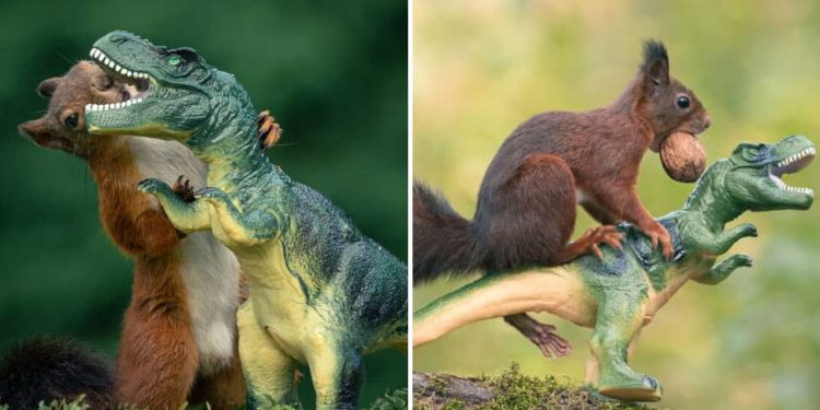Squirrels & toy dinosaur