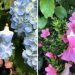 Tiny Dresses Crafted with Blooms