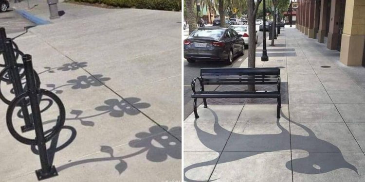 Shadow Illusions