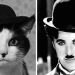 Cats And Their Counterparts
