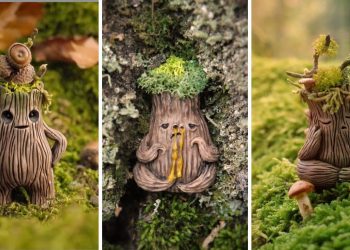 Enchanting Forest Creatures