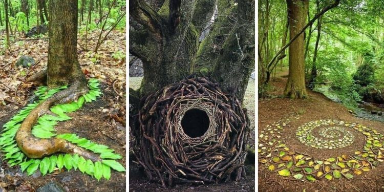 Andy Goldsworthy