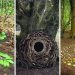 Andy Goldsworthy