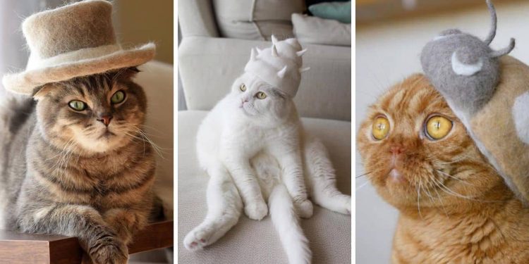 Unique Miniature Felted Cat Hats for Adorable Pets