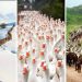 Flock Together