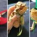 Lizard Dress-Up