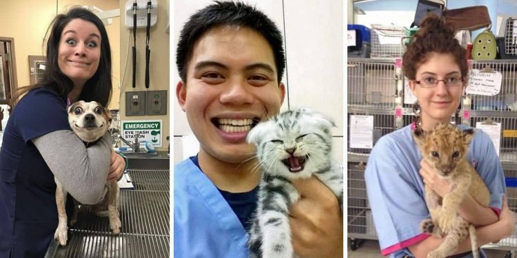 Veterinarians' with Pets