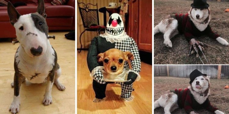 Spooky & Adorable
