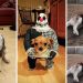 Spooky & Adorable