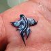 Blue Sea Dragon