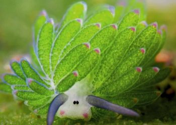 The Leaf Sheep